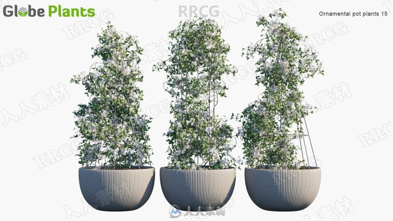 58组逼真装饰性盆栽植物3D模型合集