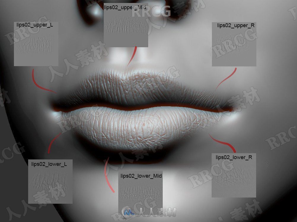5组嘴唇表面雕刻细节Alpha纹理合集