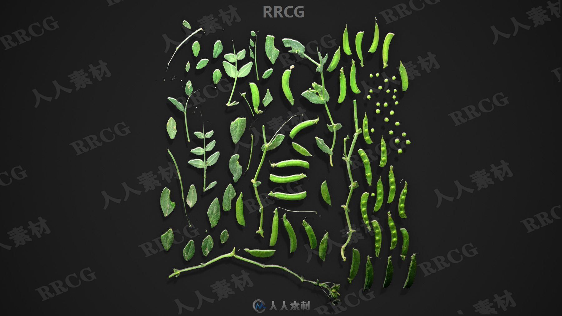 250组树叶植物表面雕刻细节Alpha纹理合集