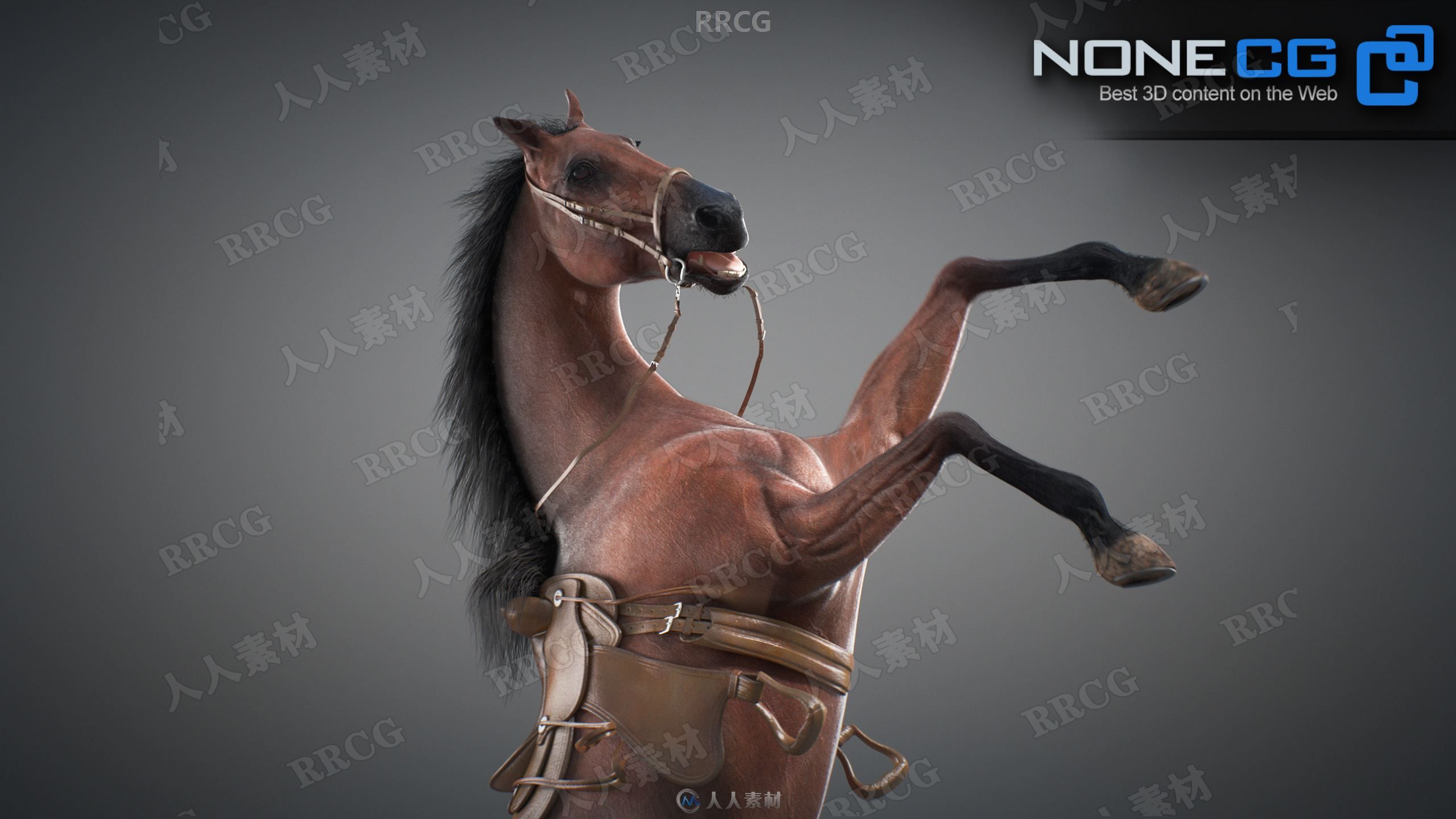 超逼真马匹骏马造型动画高精度3D模型V3版