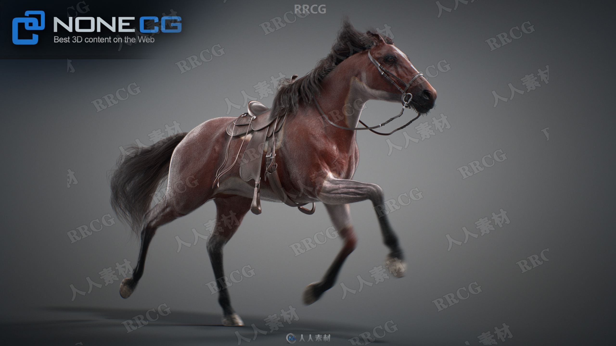 超逼真马匹骏马造型动画高精度3D模型V3版