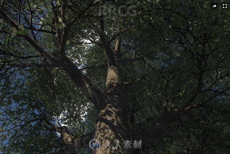 3D植被森林逼真橡树Unity游戏素材资源