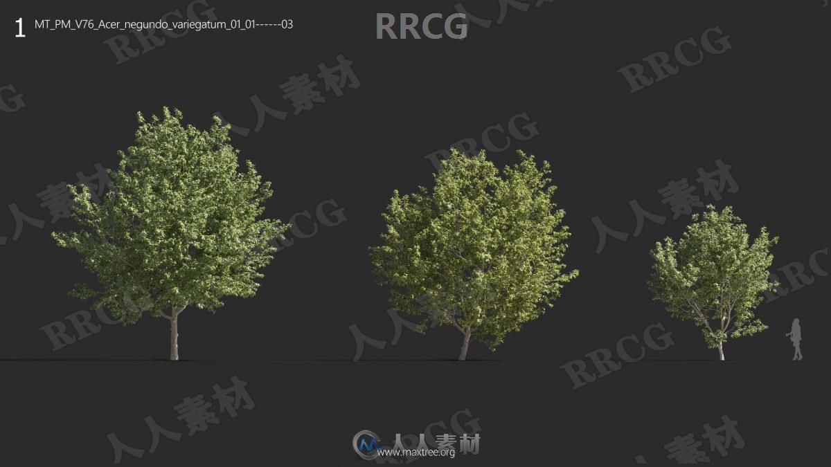 72组高质量绿色草木植物3D模型合集