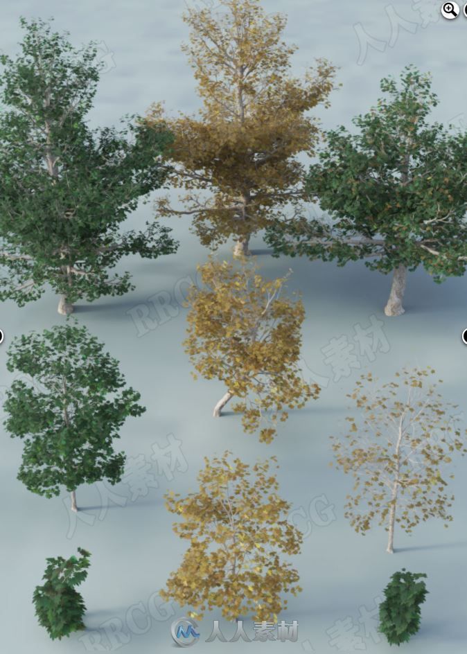 美国梧桐树原生温带林地3D模型合集