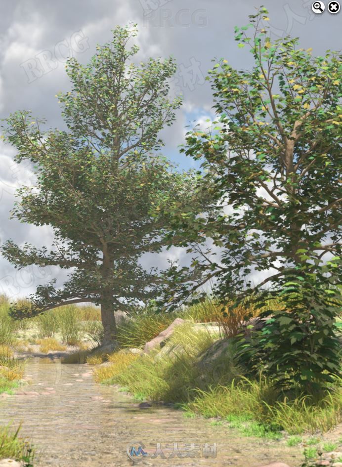 美国梧桐树原生温带林地3D模型合集