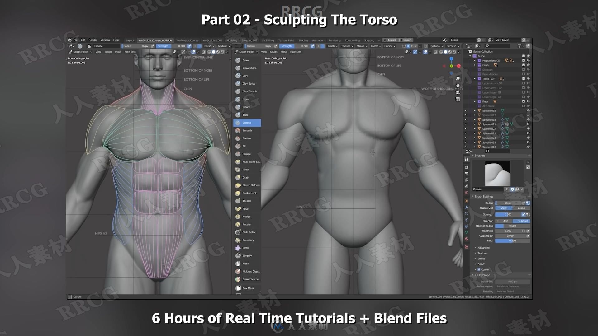 Blender男性人体解剖形态全身造型雕刻技术视频教程