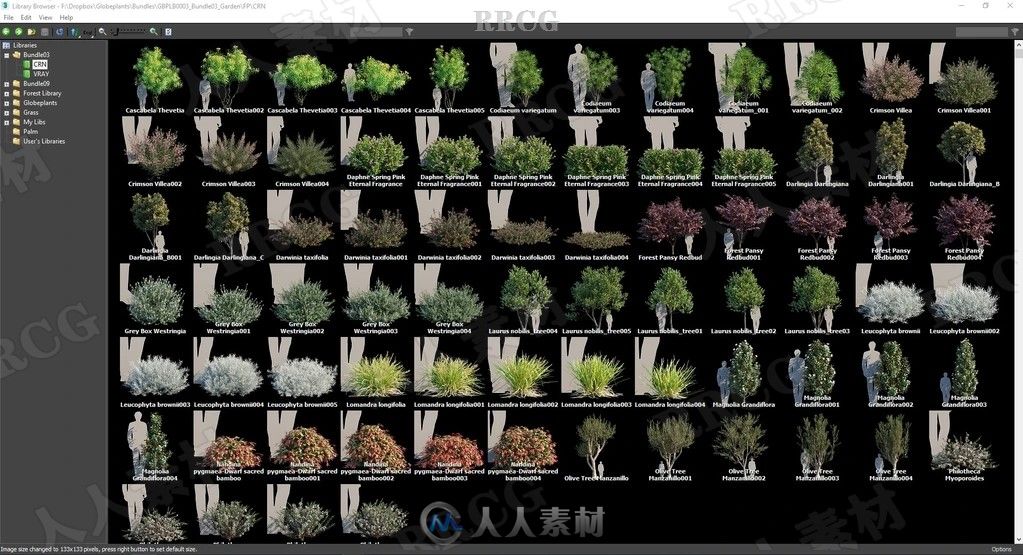 75组花园园艺花草树木植物3D模型合集