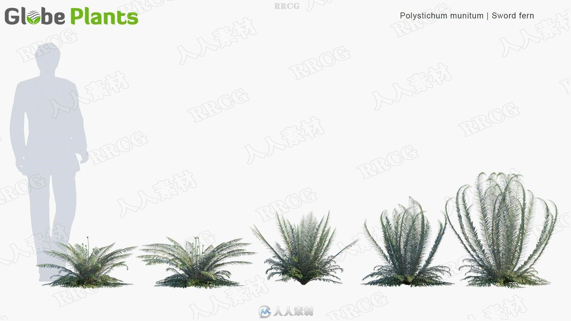 80组高精度花园草木植物3D模型合集