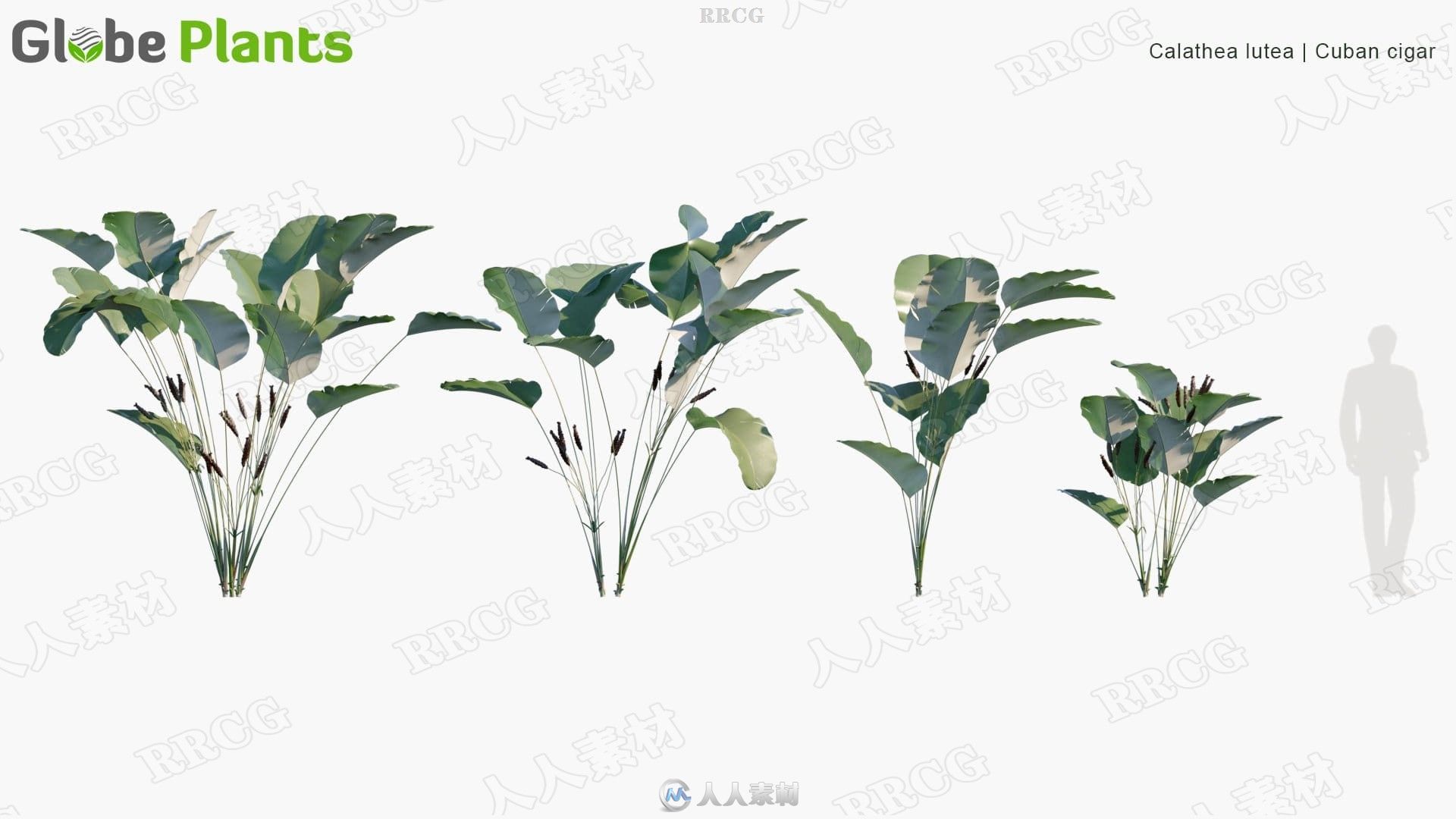 90组热带花园美化花草树木植物3D模型合集