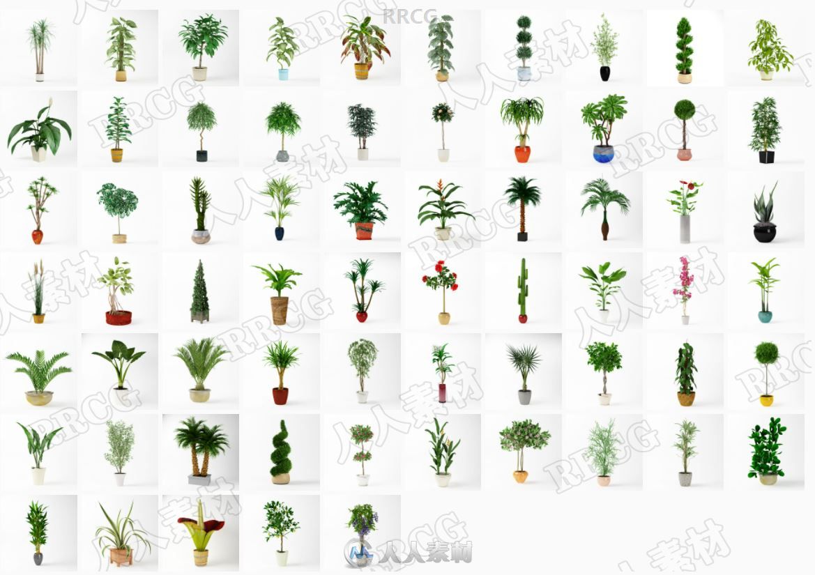 65组高品质盆栽装饰花草植物相关3D模型合集 Evermotion Archmodels第75季