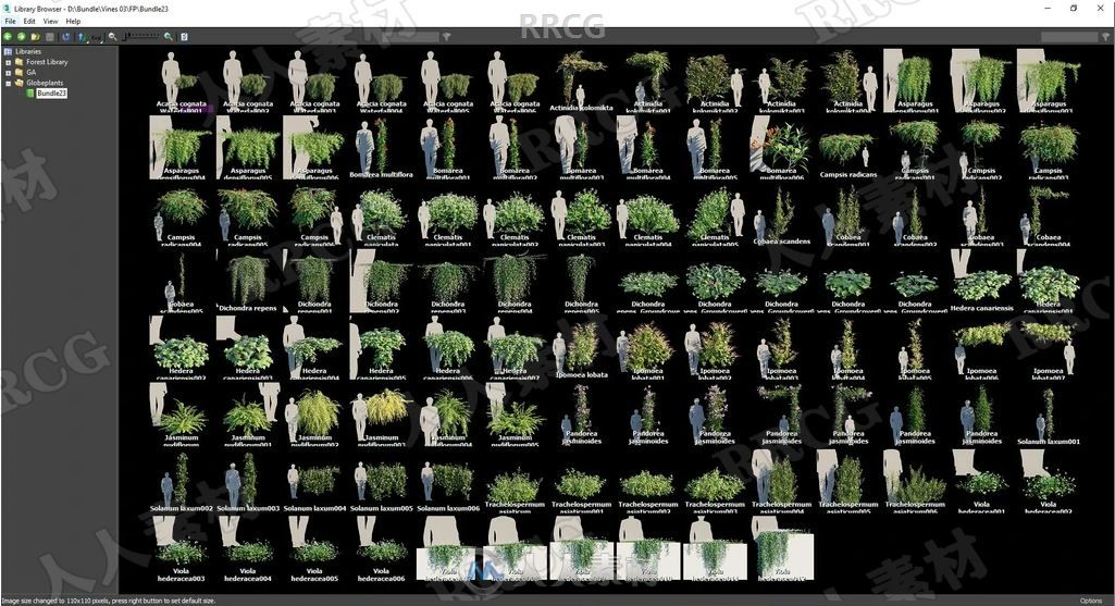 108组高质量藤蔓和匍匐草木植物3D模型合集
