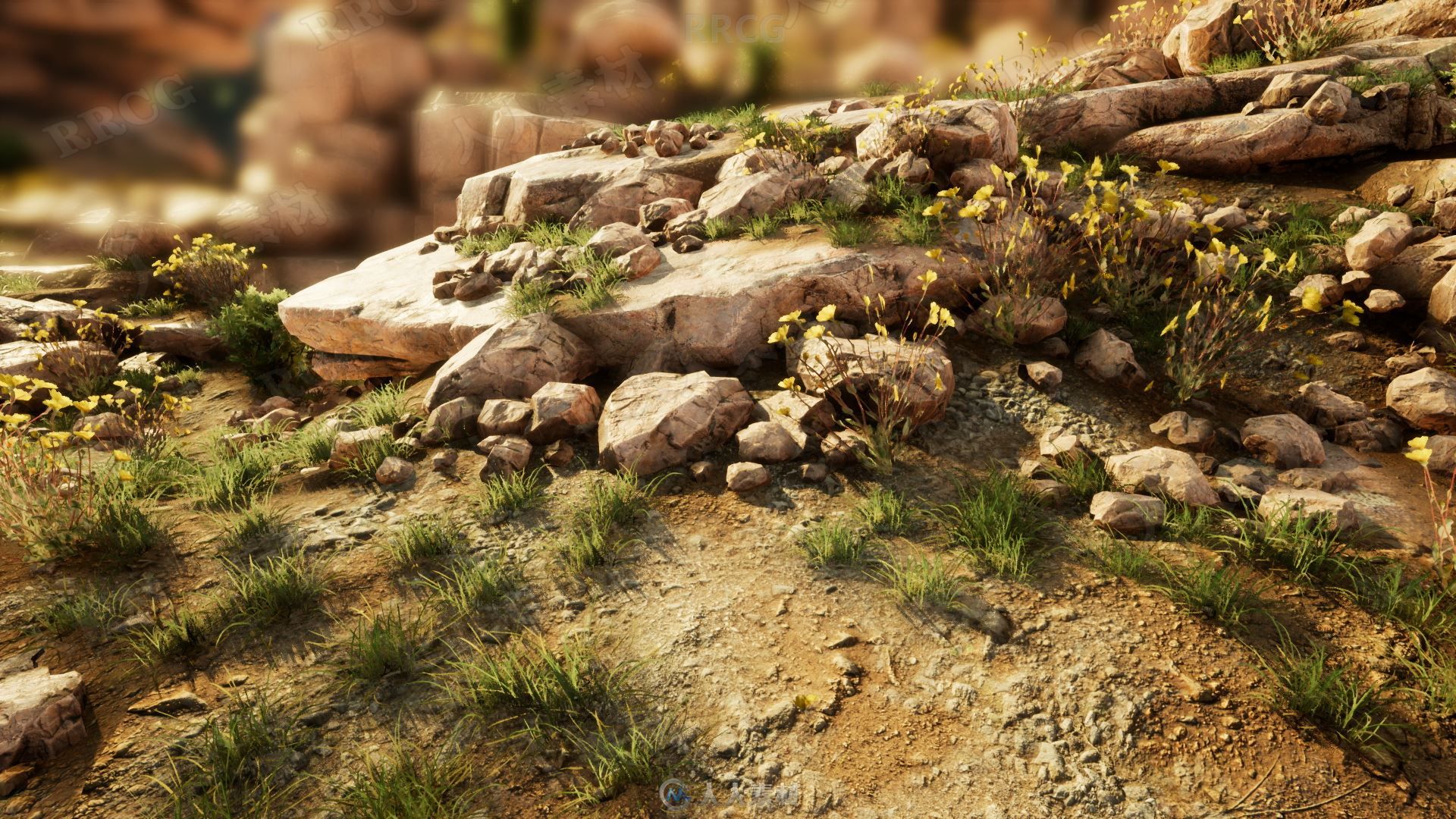 逼真自然森林场景岩石模型Unreal Engine游戏素材资源