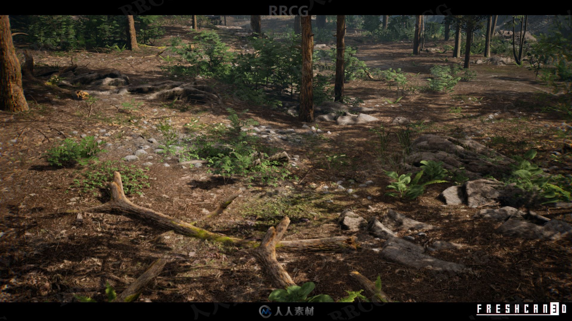 岩石植被山区自然森林环境场景Unreal Engine游戏素材资源