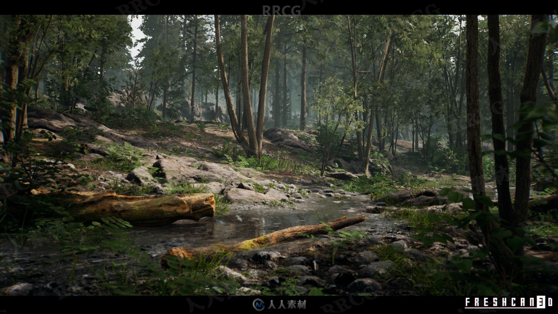 岩石植被山区自然森林环境场景Unreal Engine游戏素材资源