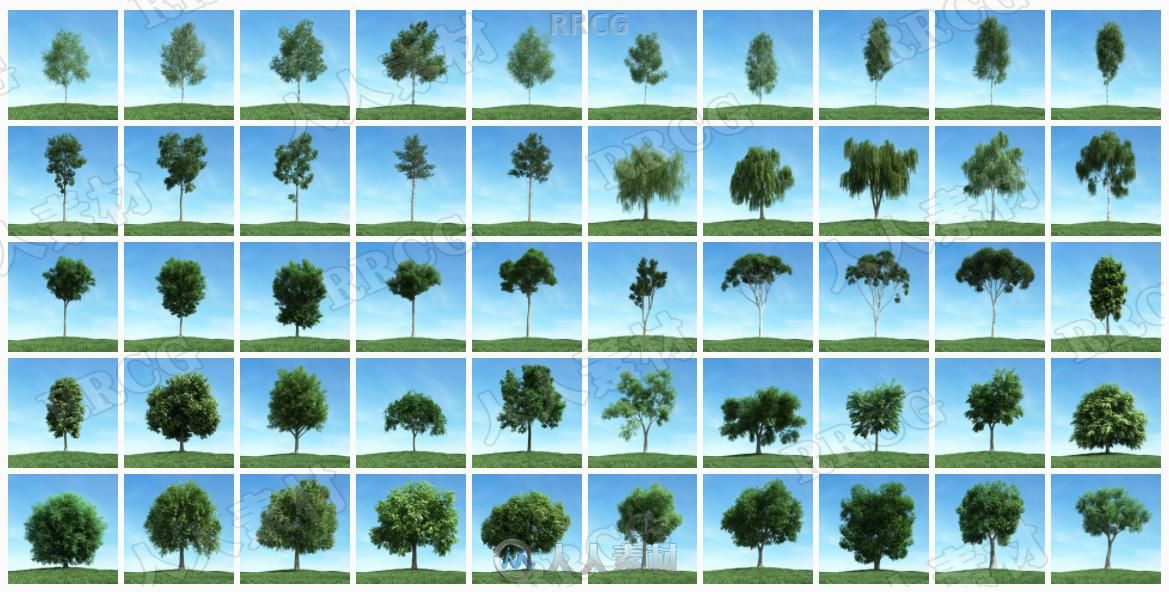50组高质量各类树木植物3D模型合集