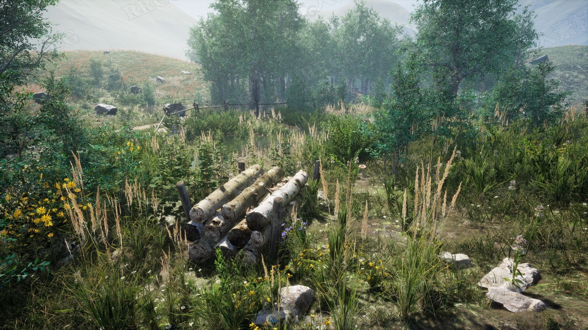 逼真自然森林植被环境场景Unreal Engine游戏素材资源
