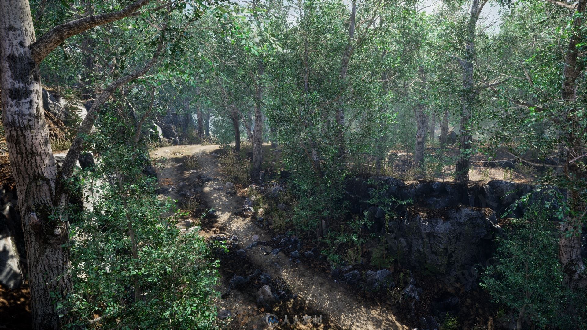 逼真自然森林植被环境场景Unreal Engine游戏素材资源