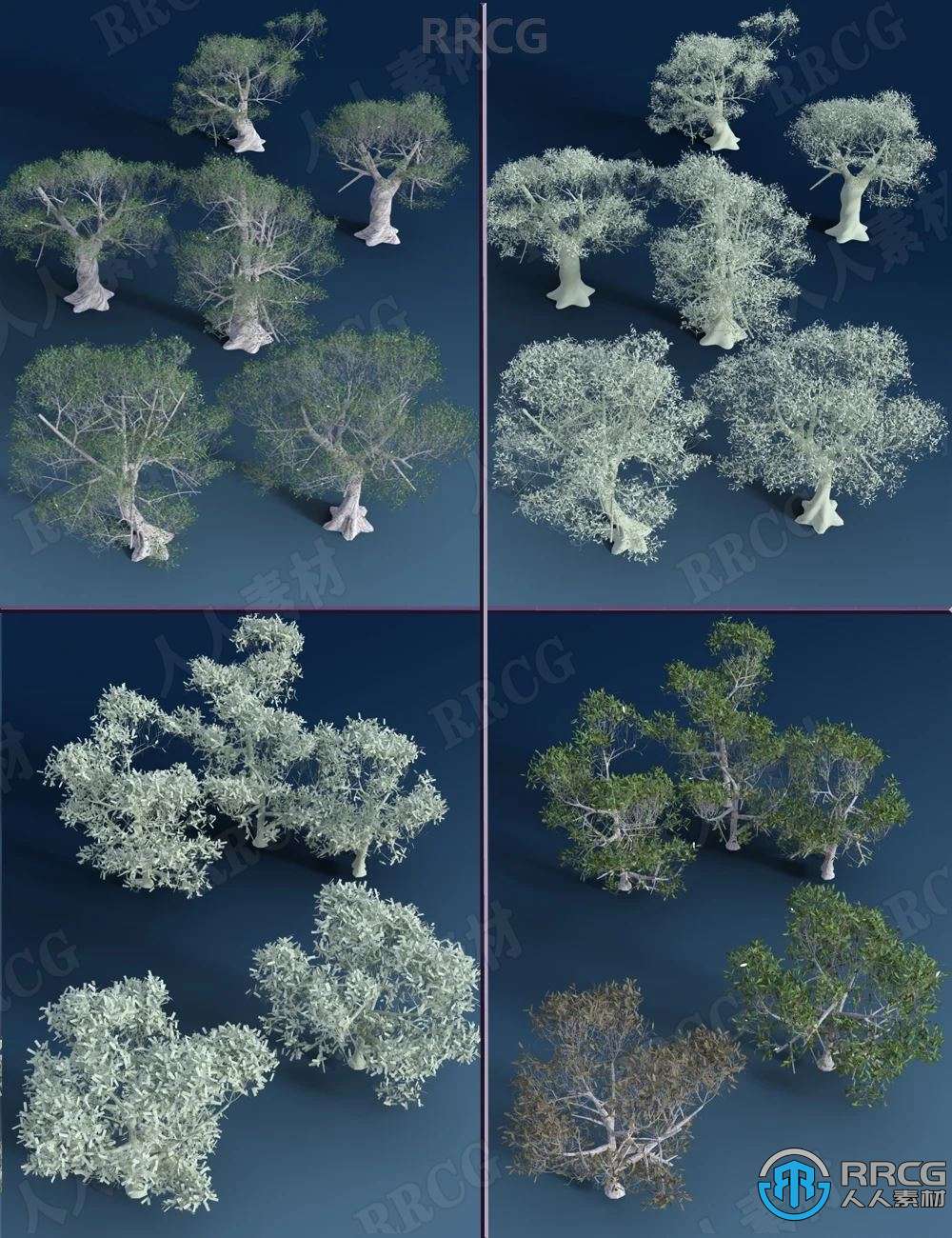 热带地中海灌木植被环境场景3D模型合集