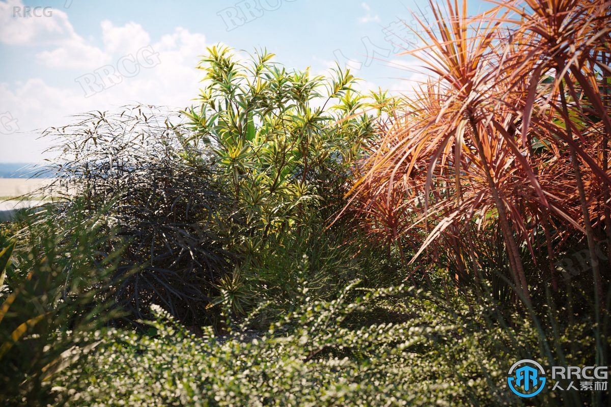 高质量龙舌兰薤白凤仙花三叶草等草木植物3D模型合集
