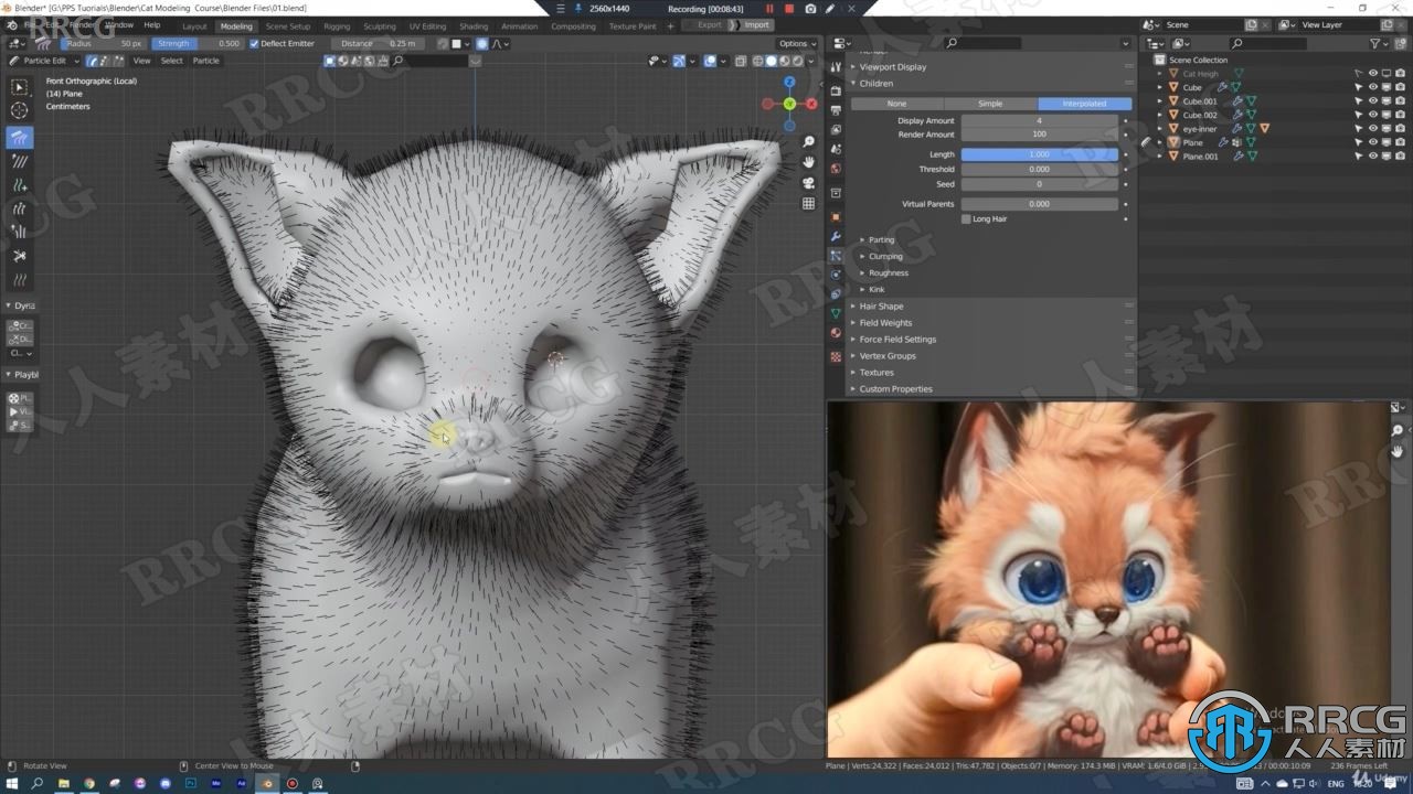 【中文字幕】Blender与SP猫咪动物建模与纹理实例制作视频教程