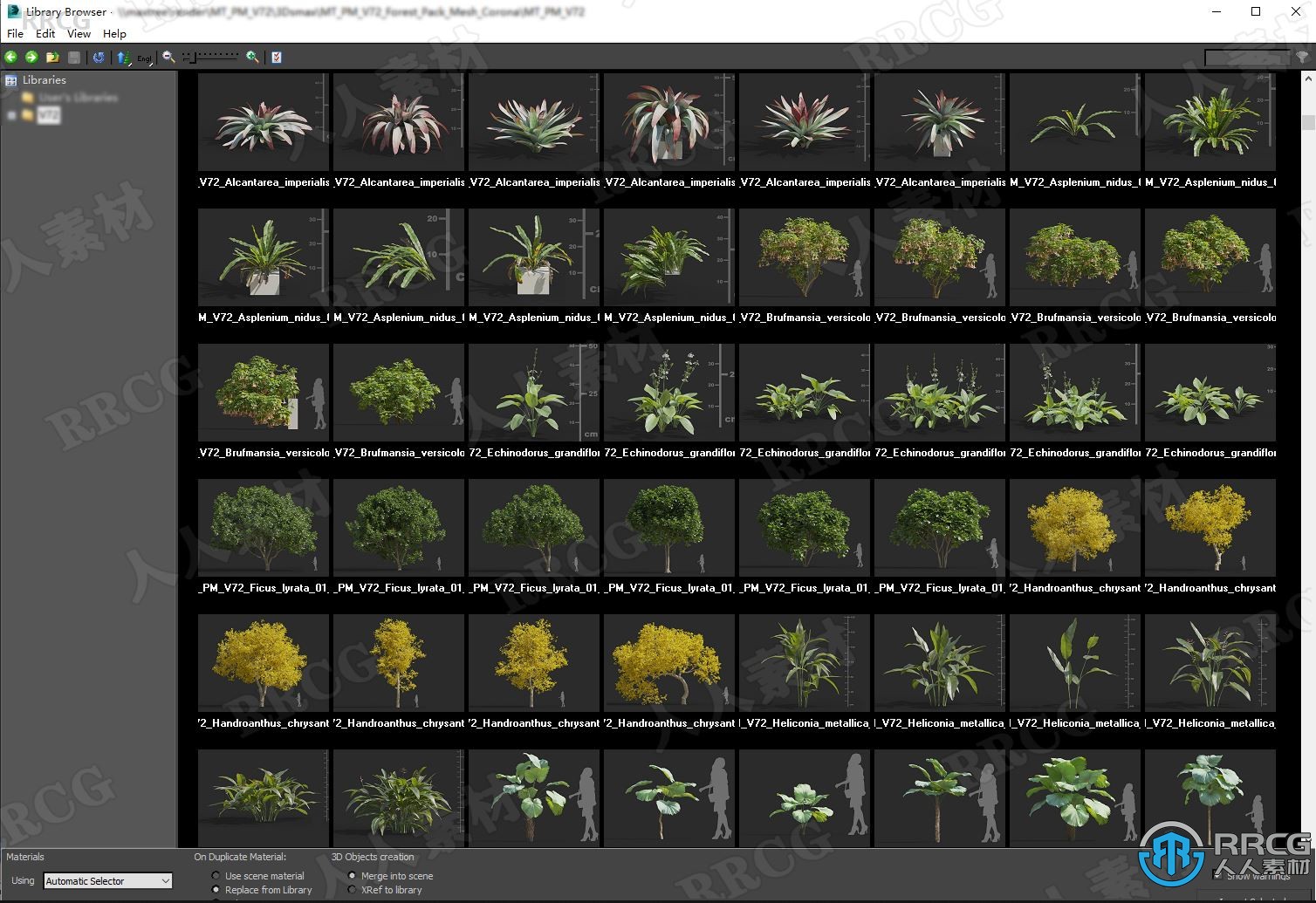 高质量御针草斑鸠菊麝香树潘多拉树等草木植物3D模型合集