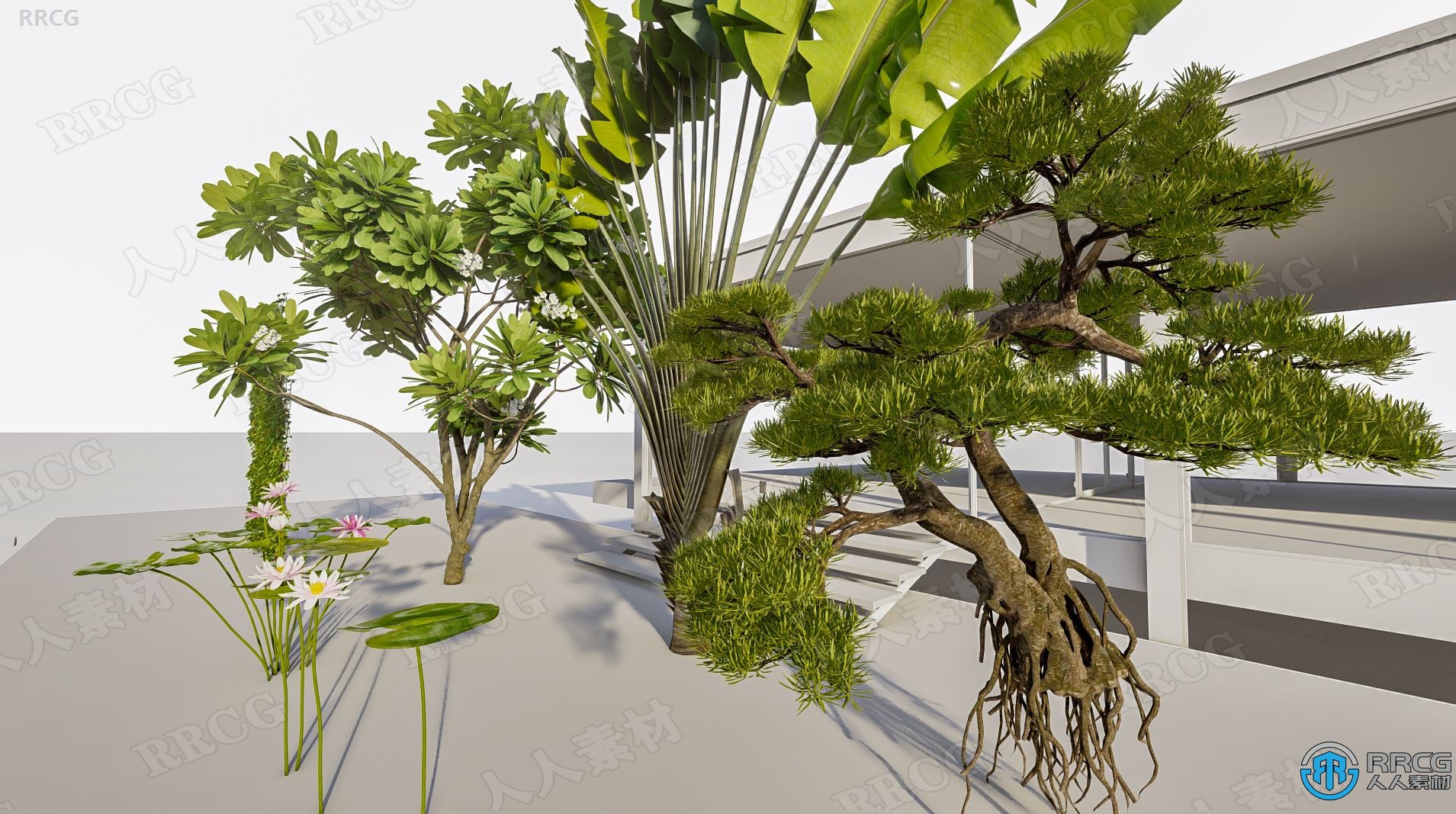 Lumion自定义树木3D模型合集