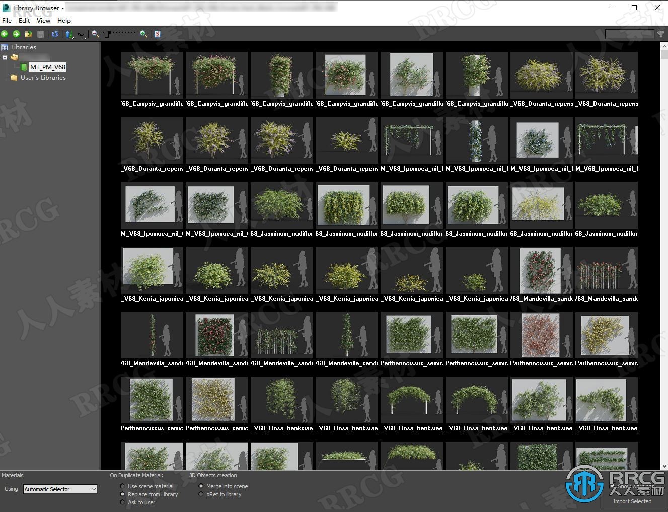 高质量杜兰花茉莉花曼陀罗半枝莲等草木植物3D模型合集