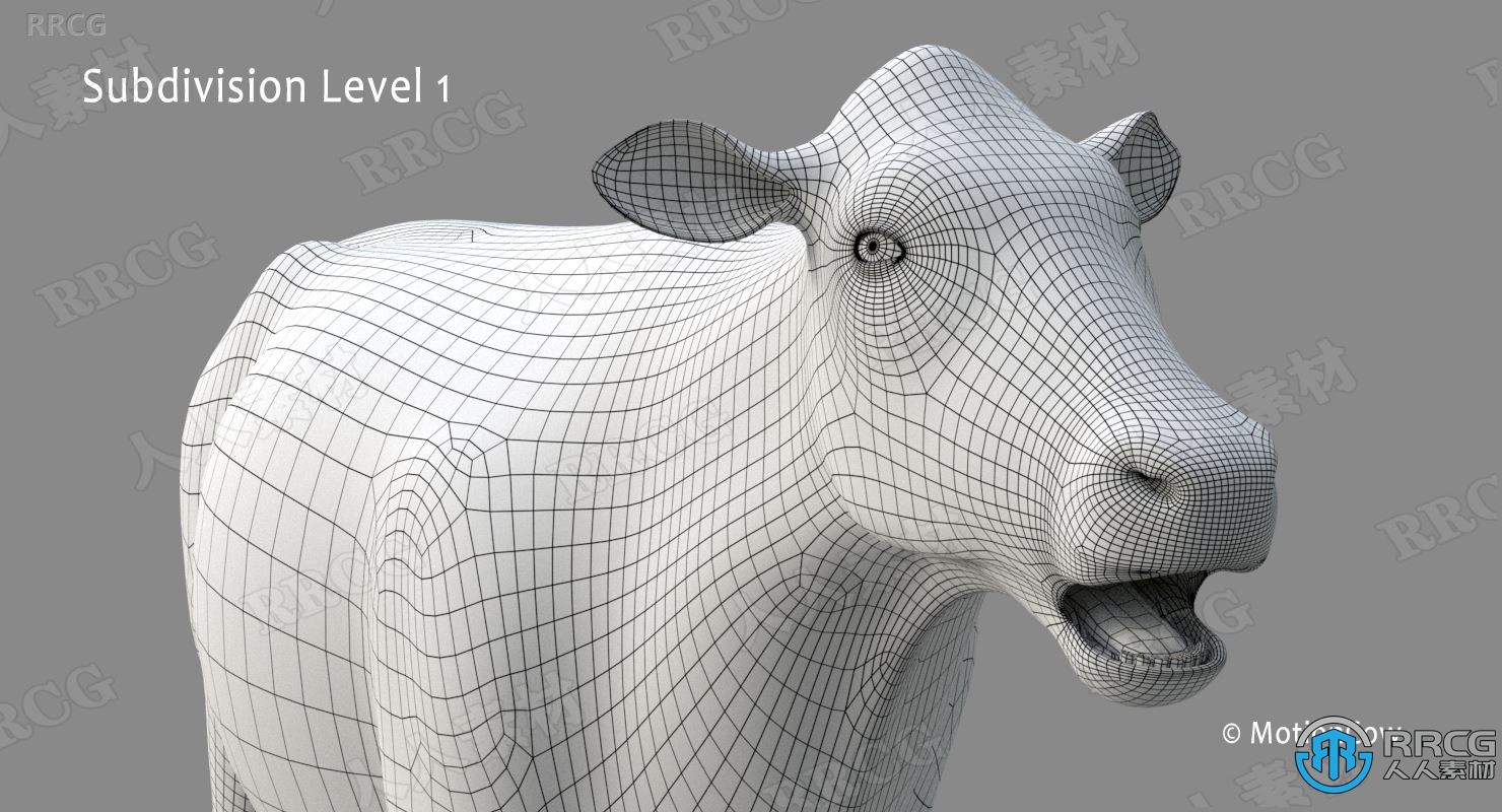 5组高质量奶牛循环动画与3D模型