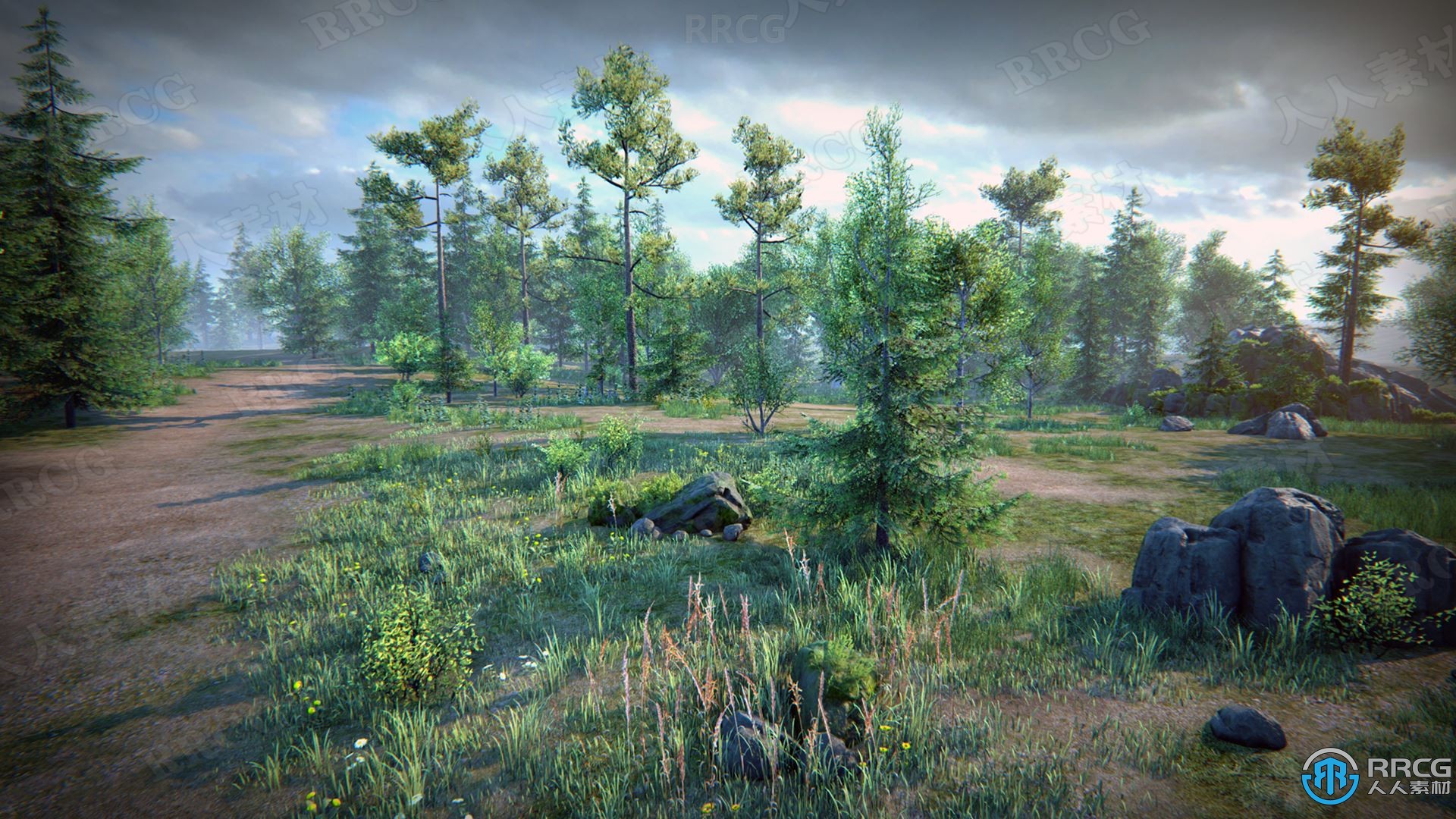 高质量自然森林植被树木模型Unreal Engine游戏素材资源