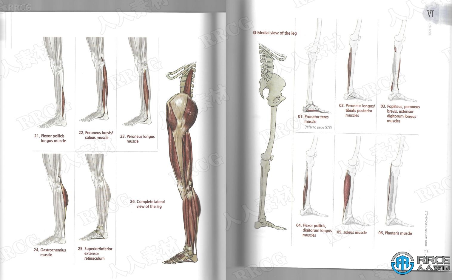 韩国画师石正铉《人体解剖学研究》书籍