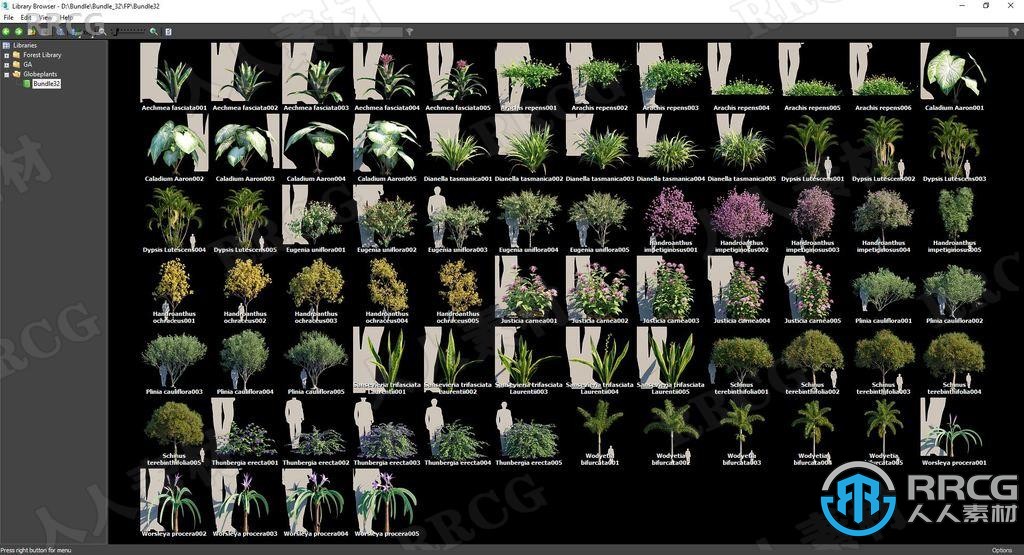 15种南美洲巴西高质量草木植物3D模型合集