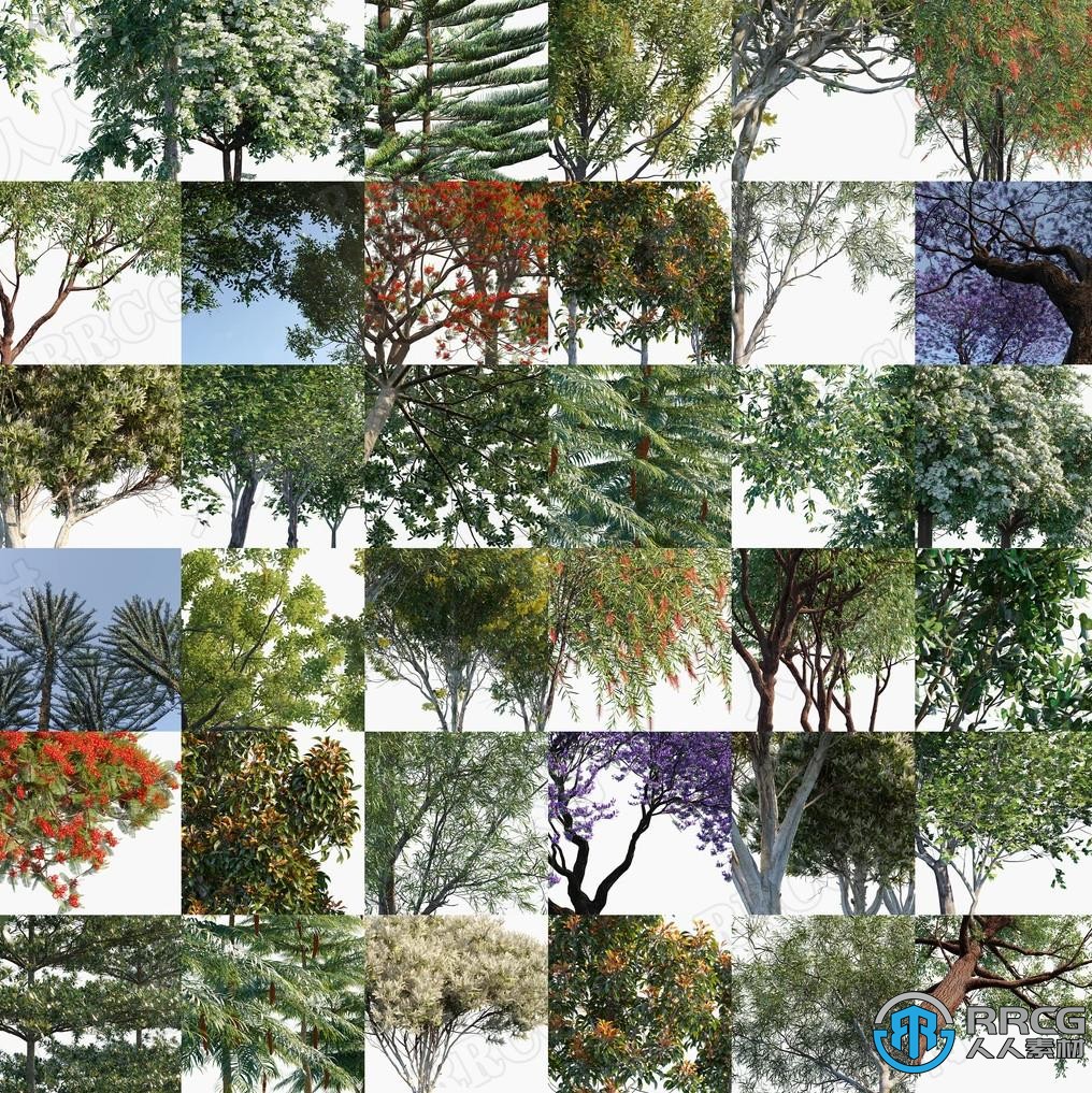 90种大洋洲澳大利亚新西兰高质量树木植物3D模型合集