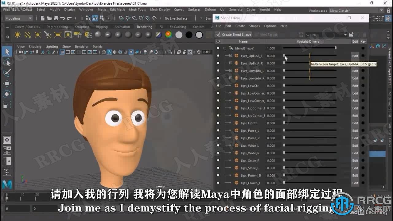 【中文字幕】Maya角色面部脸部绑定动画技术视频教程