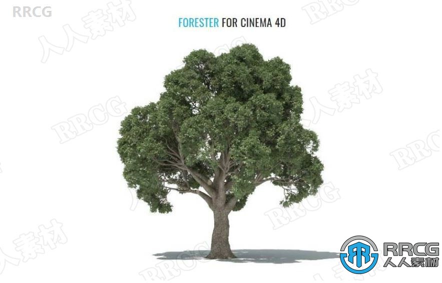 3dquakers Forester植物树木生成动画C4D R18-R25插件V1.5.0版 附扩展包