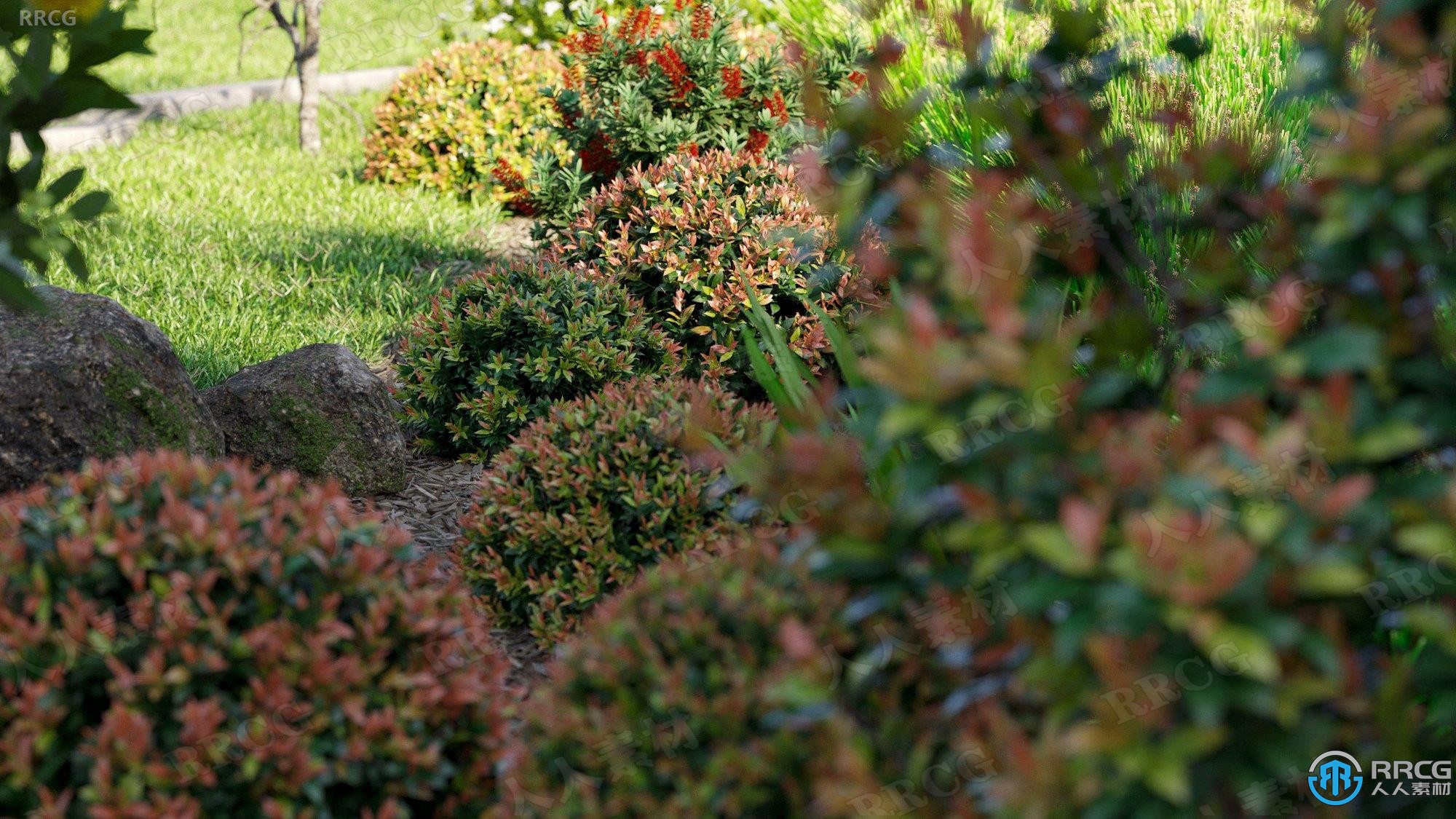 86种金合欢柠檬草斑鸠花澳大利亚花园灌木树木高质量植物3D模型合集