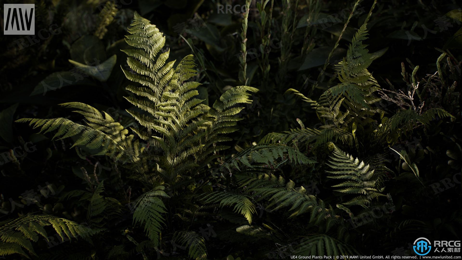 摄影测量扫描自然植被环境景象Unreal Engine游戏素材资源
