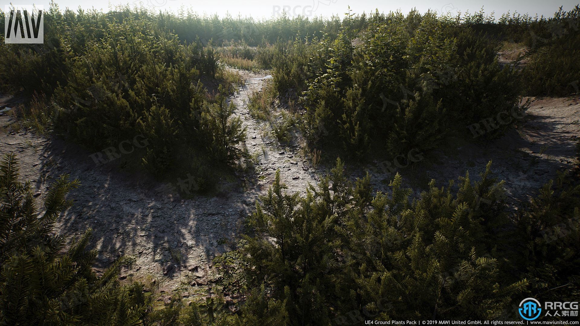 摄影测量扫描自然植被环境景象Unreal Engine游戏素材资源
