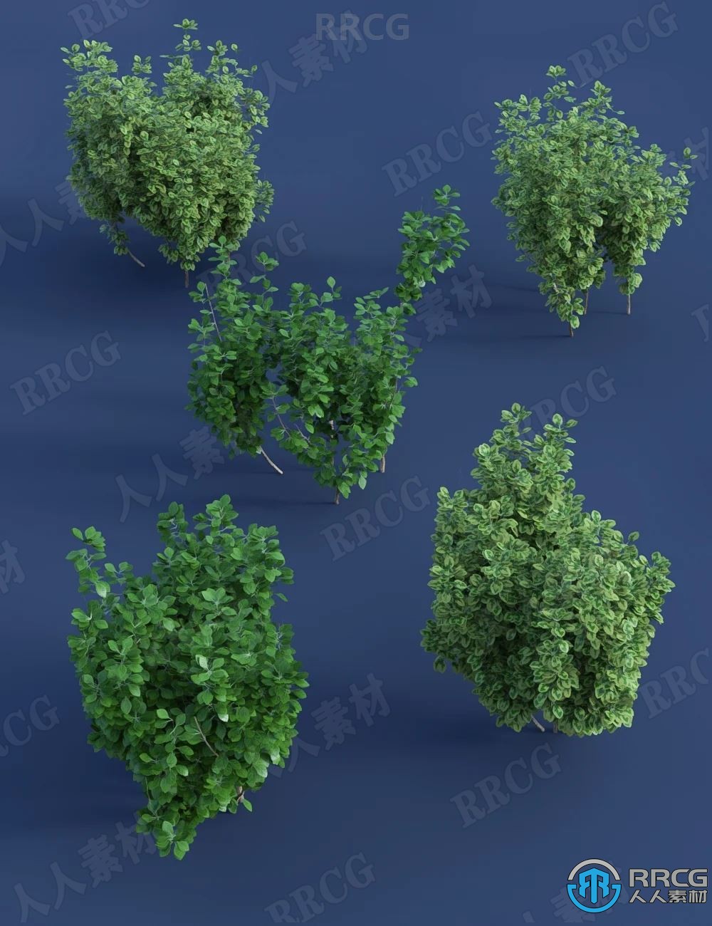 逼真热带树叶树篱灌木植被环境3D模型合集