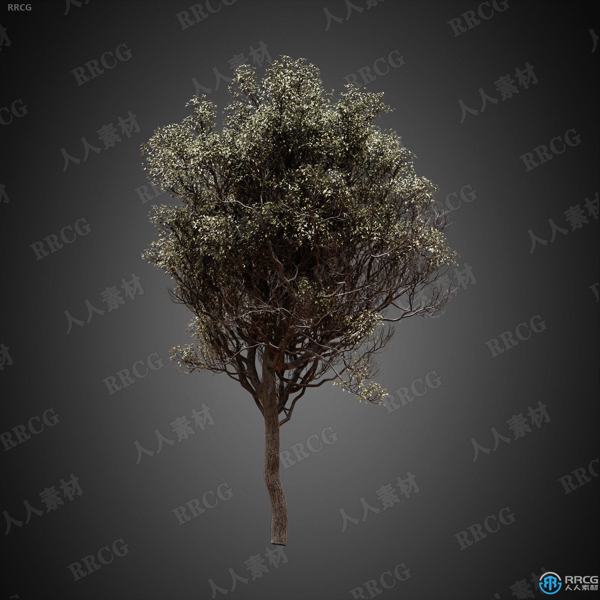 9组高端逼真树木植物高质量3D模型合集