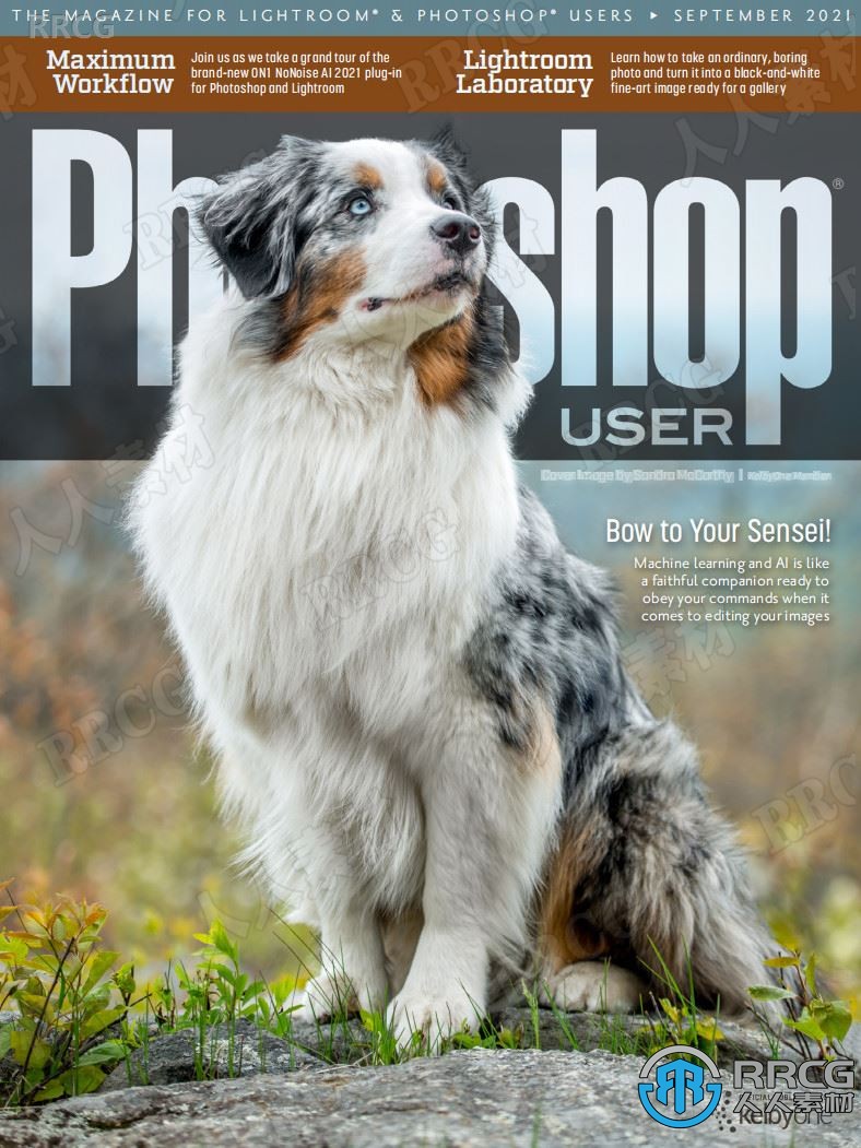 Photoshop用户艺术杂志2021年度全集