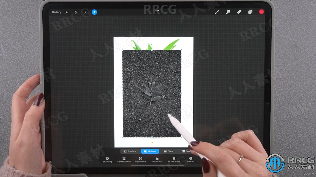 Procreate大师级写实效果数字绘画绘制工作流程视频教程