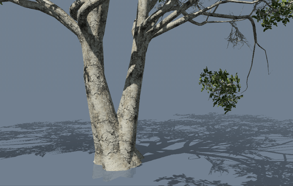 SpeedTree Modeler Cinema Edition树木植物实时建模软件V9.1.1版