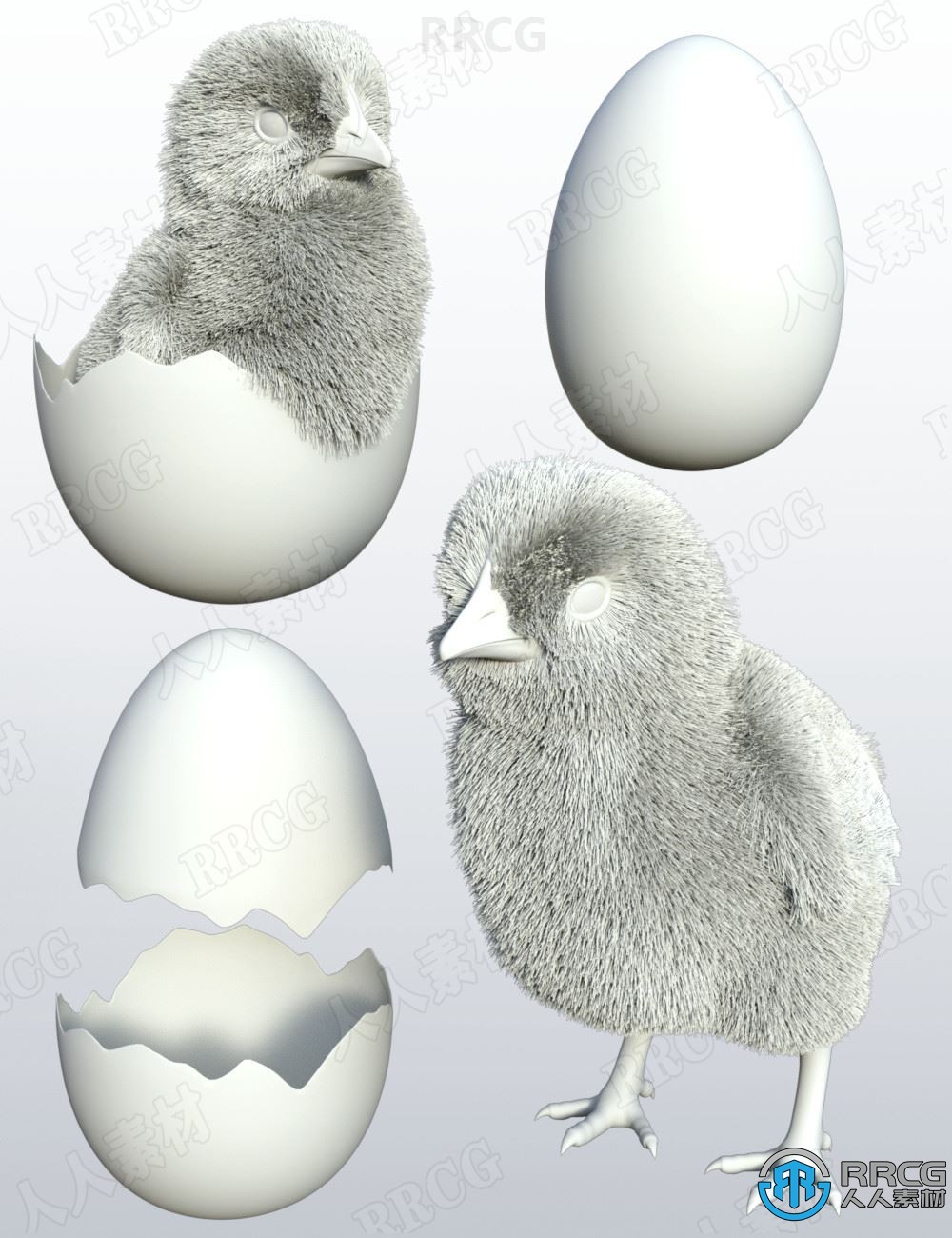 可爱刚孵化破壳小鸡家禽角色3D模型合集