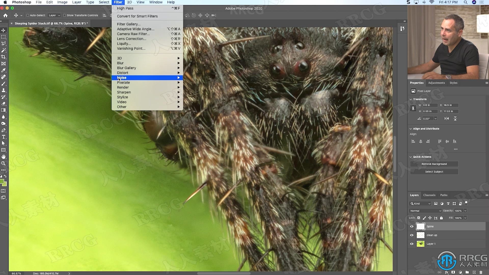 大自然昆虫动物摄影技巧集后期修饰工作流程视频教程