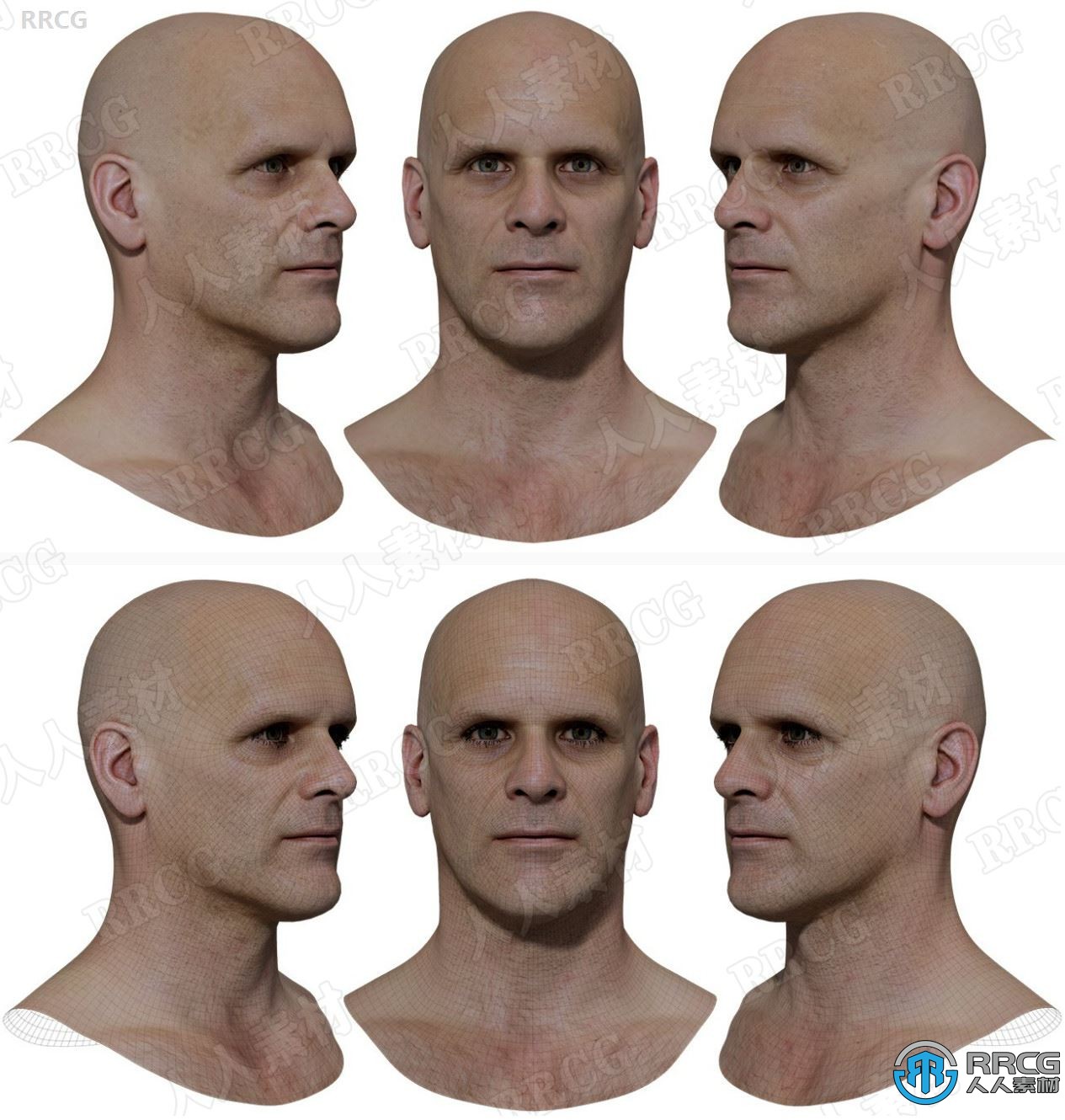 超逼真男性头部扫描级高精度贴图与3D模型