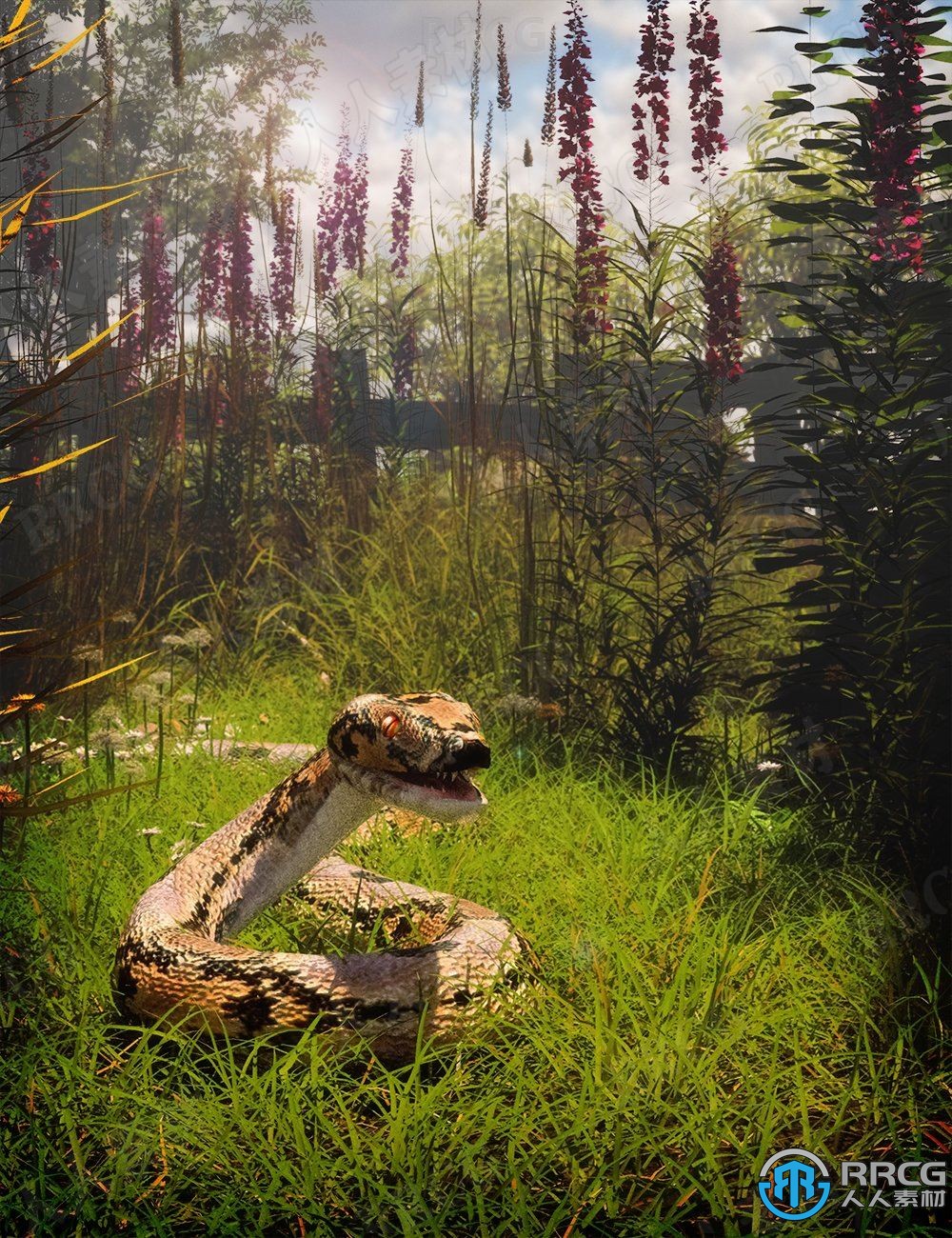 夏季自然草丛植被场景环境3D模型合集