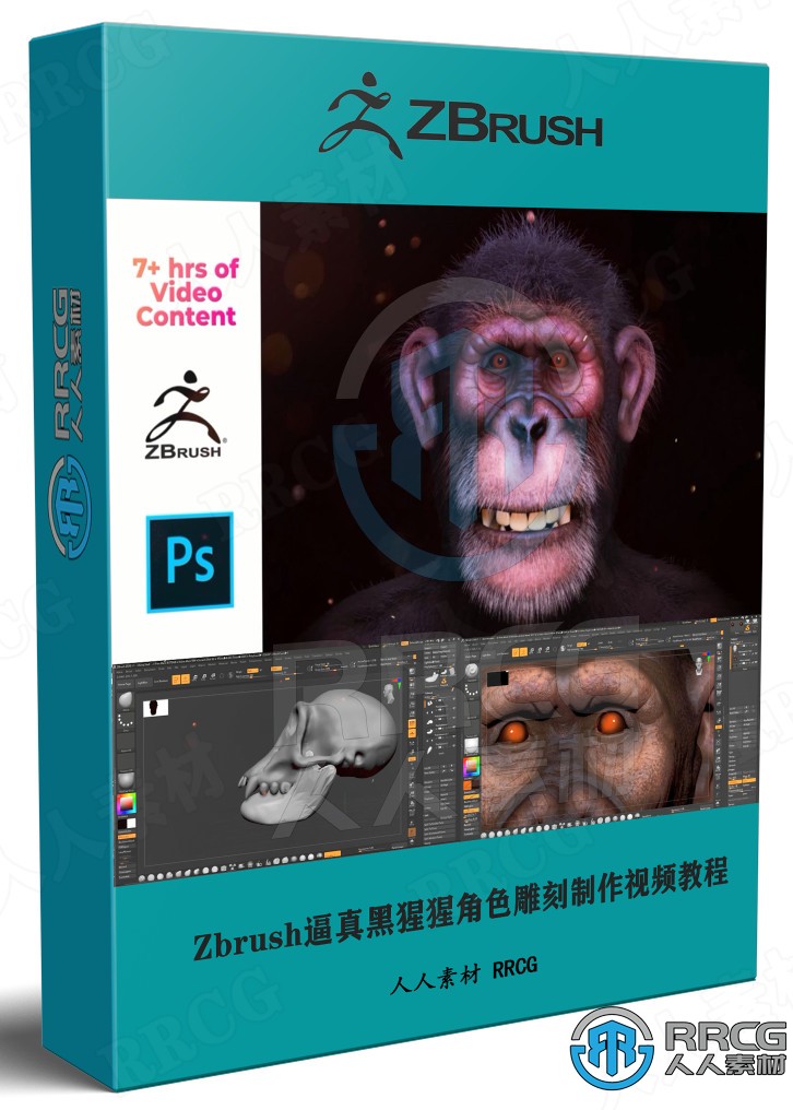 Zbrush逼真黑猩猩角色雕刻制作全流程视频教程