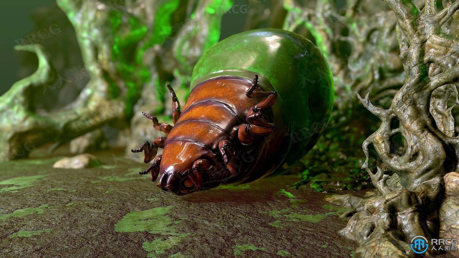10个有毒甲壳虫昆虫角色动画Unreal Engine游戏素材资源