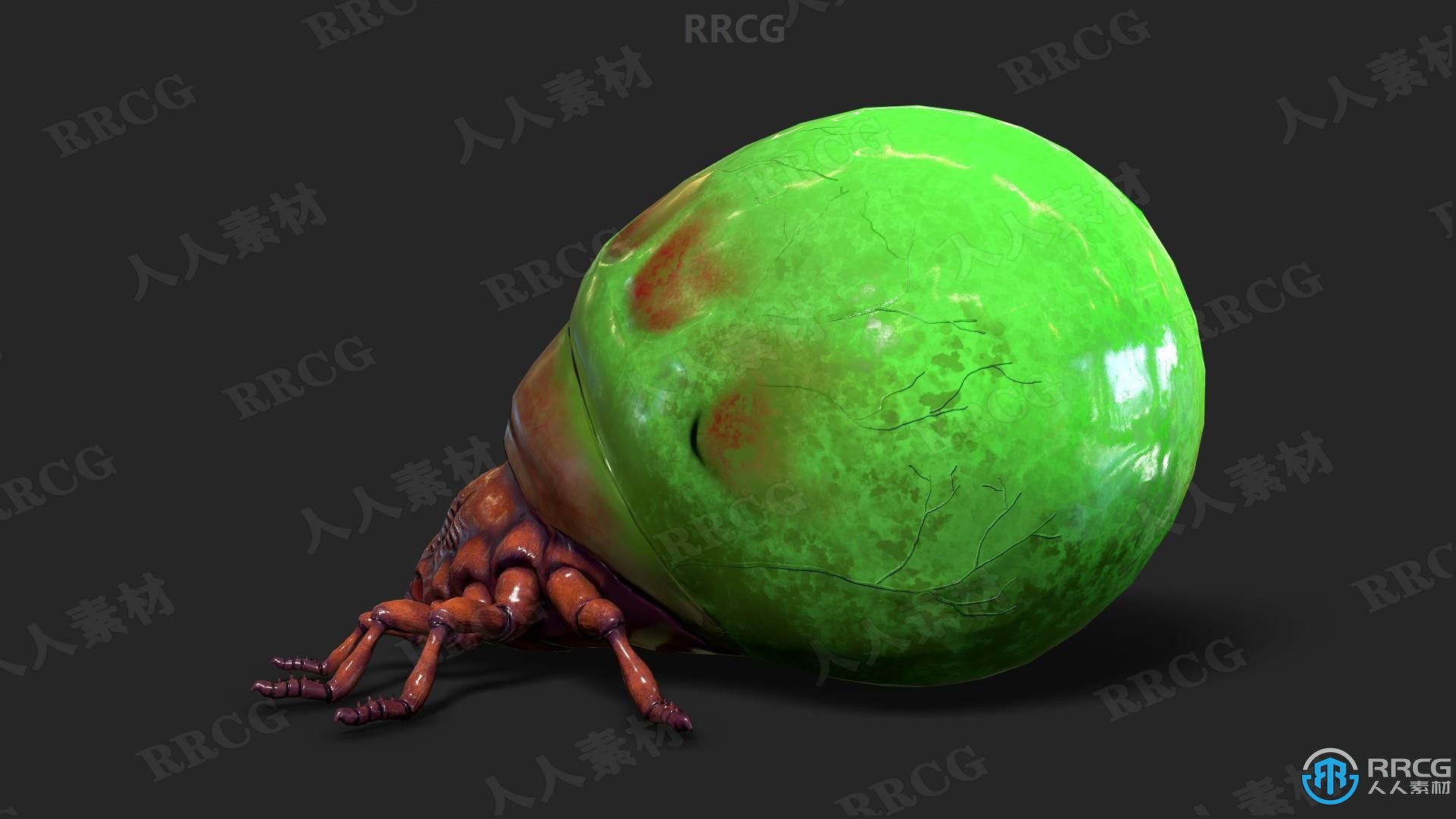 10个有毒甲壳虫昆虫角色动画Unreal Engine游戏素材资源