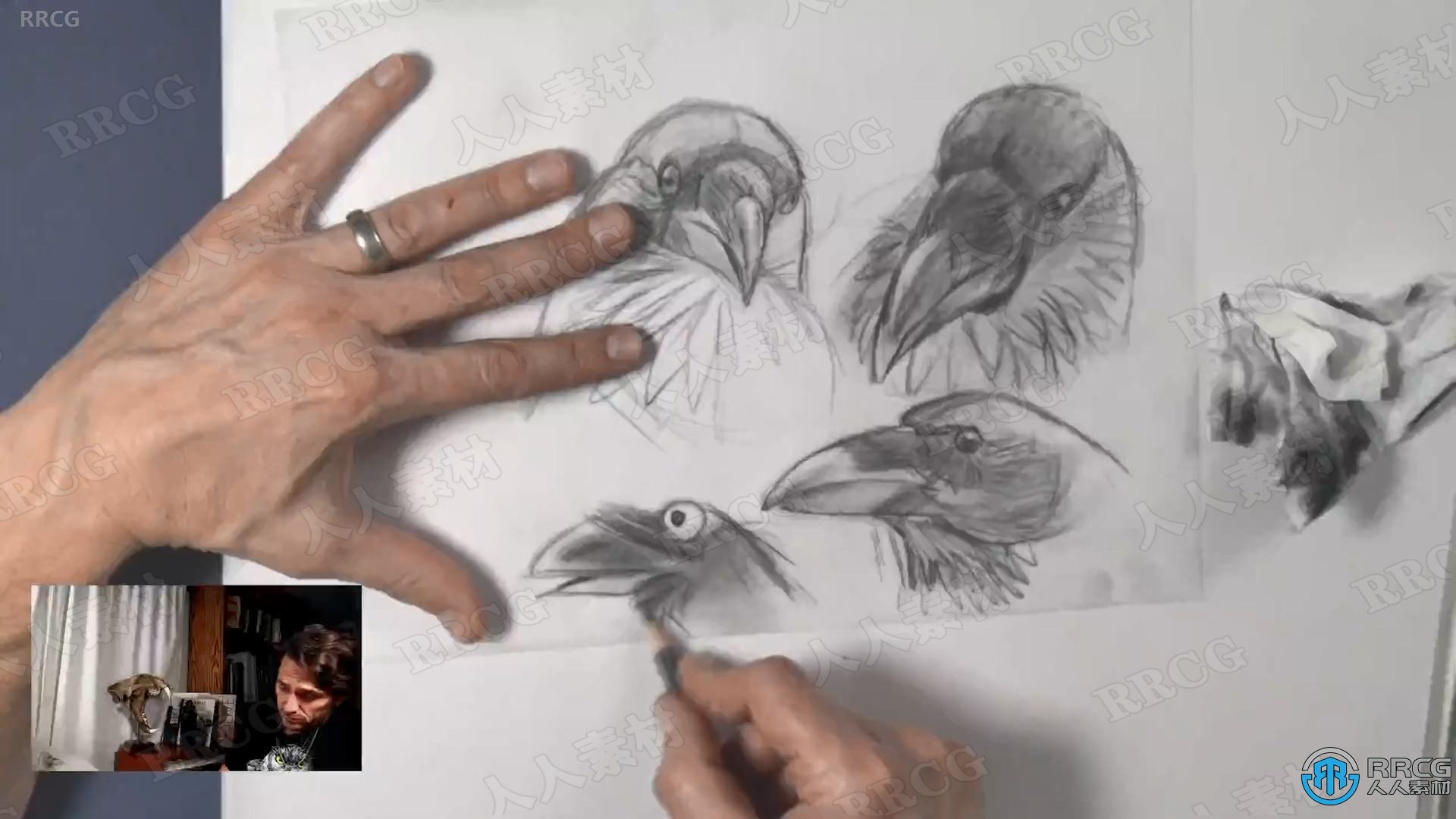 艾美奖大师动物设计传统绘画艺术视频教程